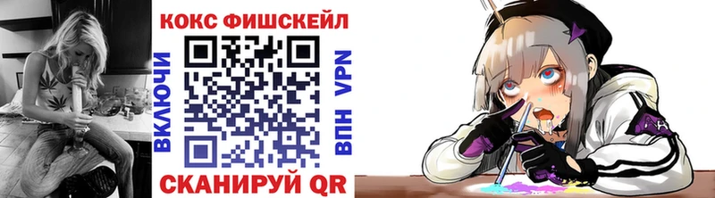 Купить где  Гаврилов Посад  COCAIN 98% 