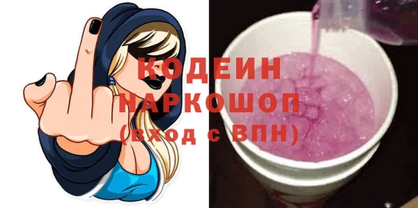 гидра Каменногорск