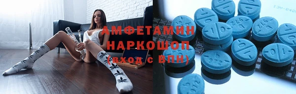 гидра Каменногорск