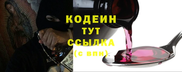 гидра Каменногорск