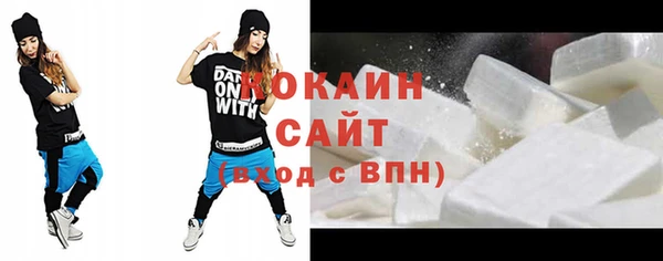 гидра Каменногорск