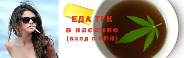 гидра Каменногорск