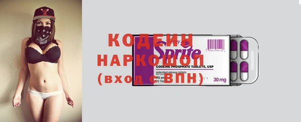гидра Каменногорск