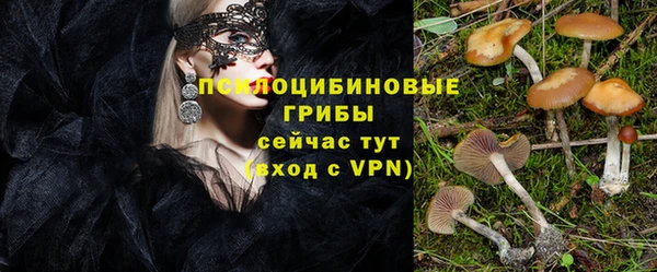 гидра Каменногорск