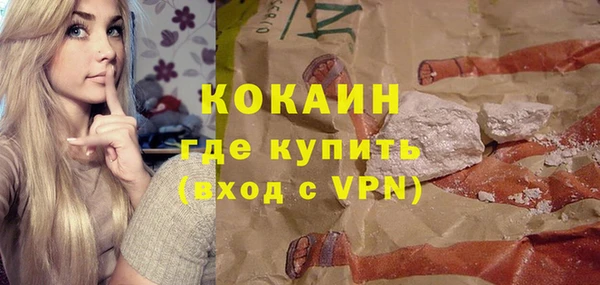 гидра Каменногорск