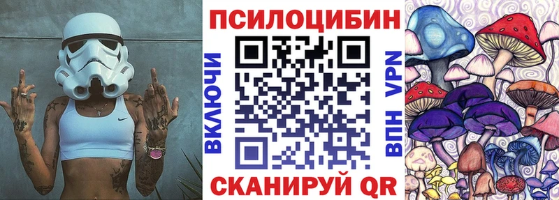 Купить закладки  Гаврилов Посад  Галлюциногенные грибы ЛСД 