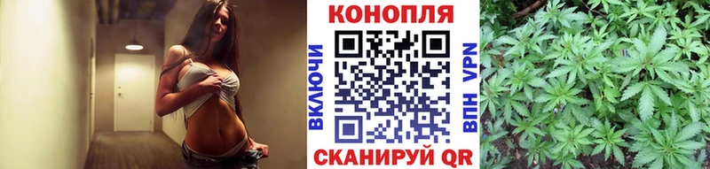 Купить  Гаврилов Посад  Марихуана план 